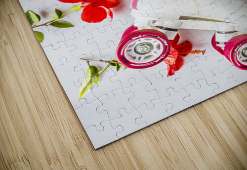 Roller Romance Jorgo puzzle