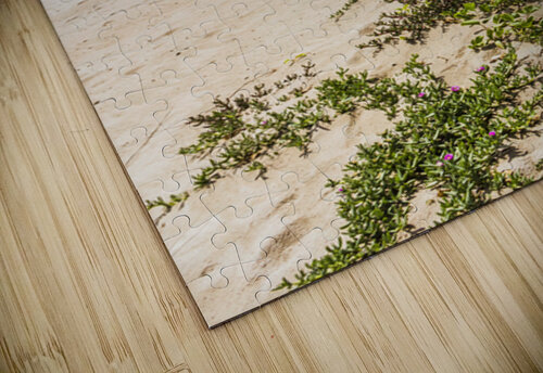 Queensland Calm Jorgo puzzle