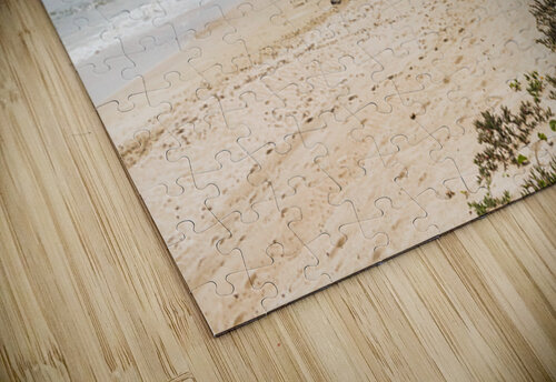 Wide Bay Jorgo puzzle