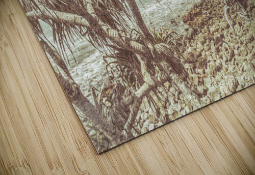 Bargara Queensland Australia Jorgo puzzle