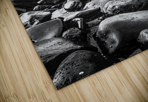 Shores Shaded Jorgo puzzle