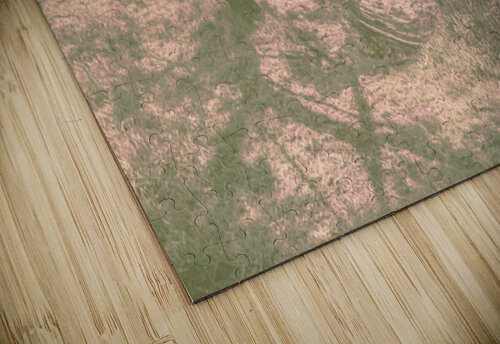 Pastelic Jorgo puzzle