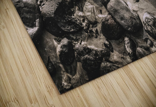 Coastal Course Jorgo puzzle