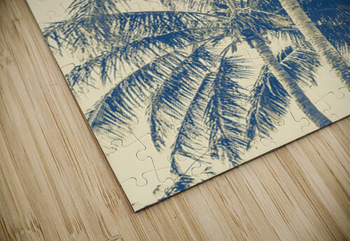 The Fronds Jorgo puzzle