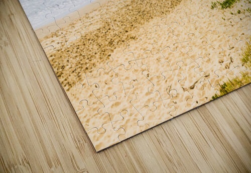 Beyond The Palms Jorgo puzzle