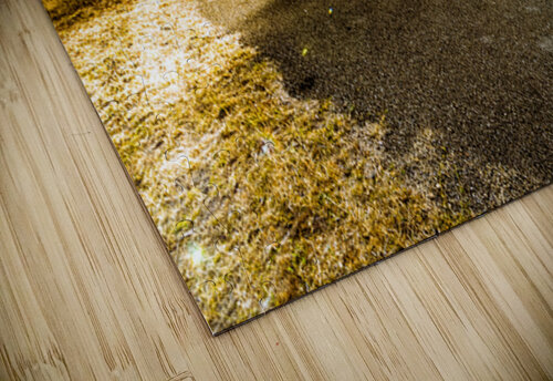 Acres Of Adventure Jorgo puzzle