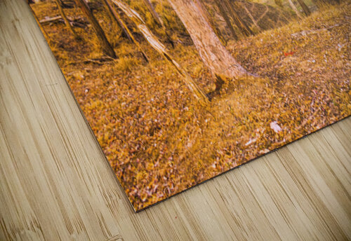 Hillside Quietude Jorgo puzzle