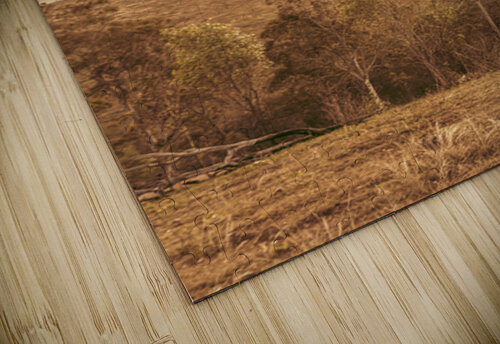 Mount Perry Gold Jorgo puzzle