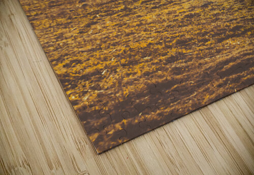 Rolling Hill Antiquity Jorgo puzzle