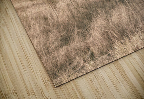 Muted Outbacks Jorgo puzzle