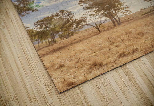 Bleached Country Vertices Jorgo puzzle