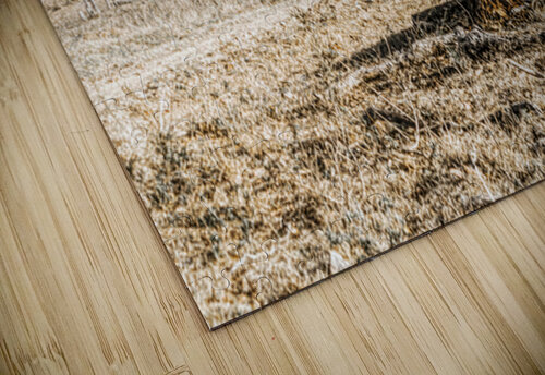 Country Wash Jorgo puzzle