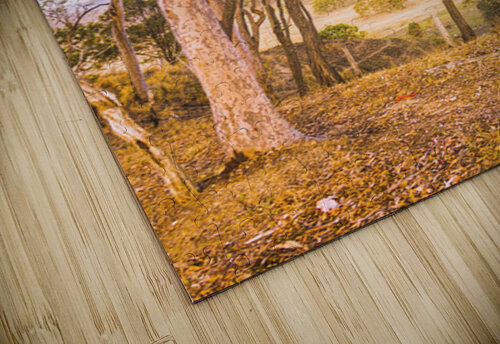 Elevated Country Outlook Jorgo puzzle