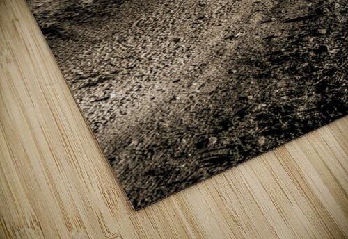 Backroads Billowing Jorgo puzzle