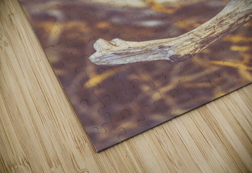 Outback Afternoons Jorgo puzzle