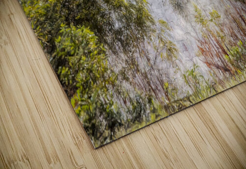 The Fog And The Forest Jorgo puzzle