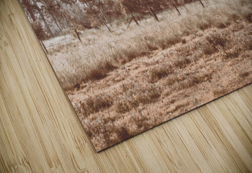 Nour Nour Haze Jorgo puzzle