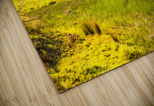 Charming Farming Jorgo puzzle