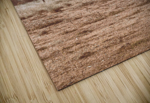 Misty Beauty Jorgo puzzle