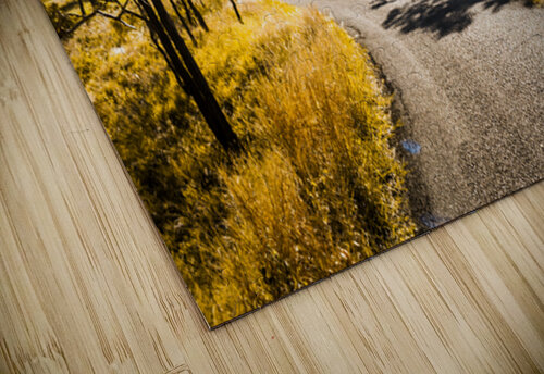 Summer Gold Jorgo puzzle