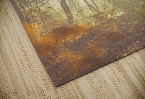 Mystified Jorgo puzzle