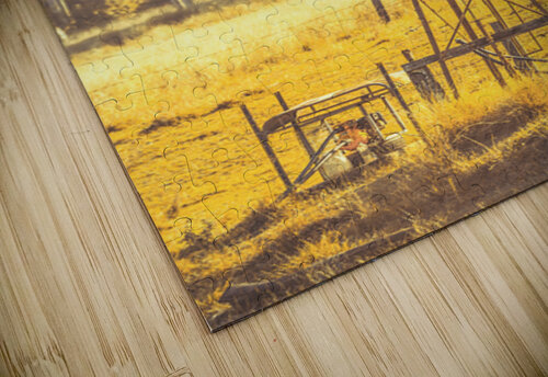 Golden Mill Jorgo puzzle