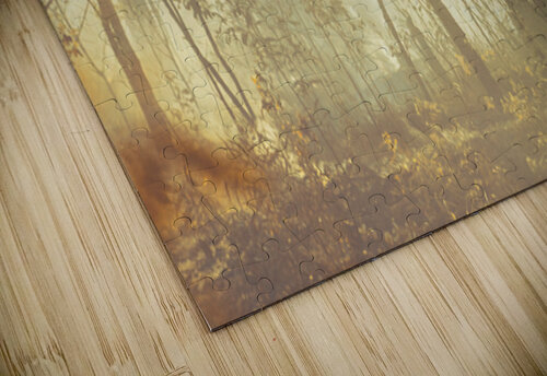 Wild Vagueness Jorgo puzzle