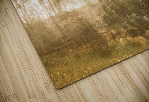 Branch Creek Magic Jorgo puzzle