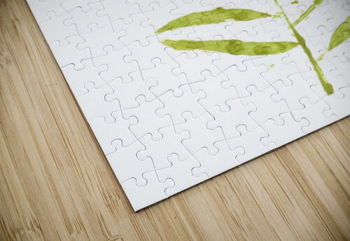 Painted Gum Jorgo puzzle