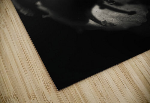 The Closeness Jorgo puzzle