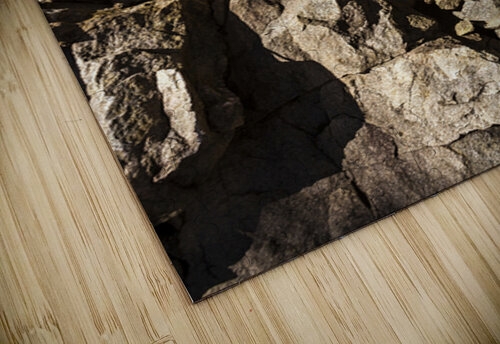 Depths And Details Jorgo puzzle