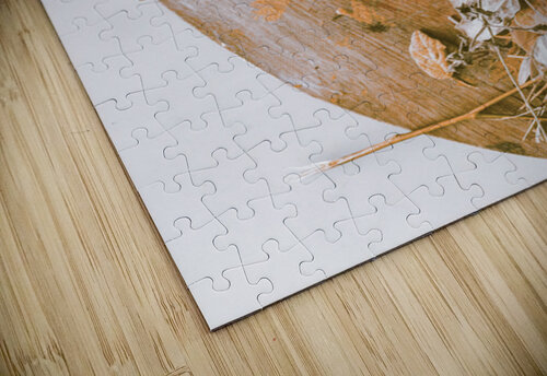 Falls Gold Jorgo puzzle