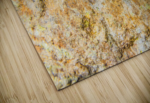 Flecks And Specks Jorgo puzzle