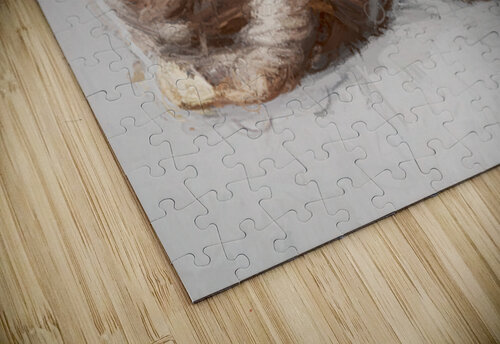 A Play On The Outbacks Jorgo puzzle