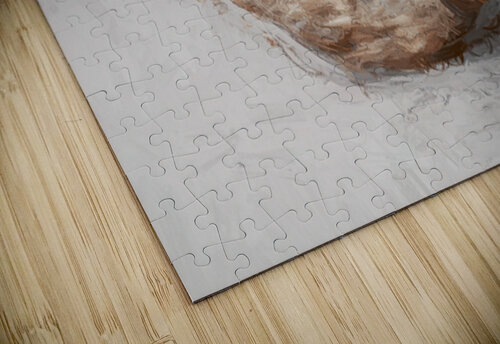 Playful Platypus Jorgo puzzle