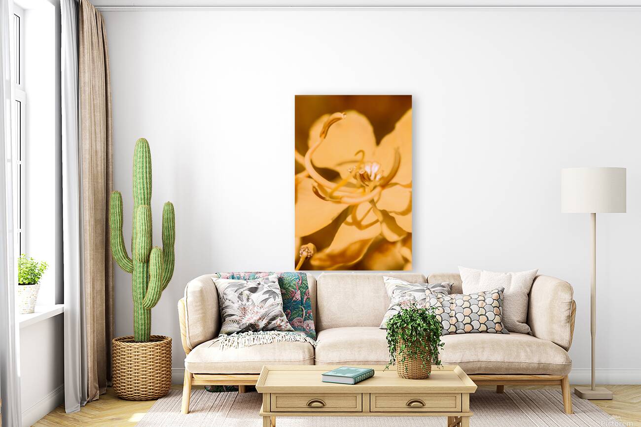 Wild orange Reproduction