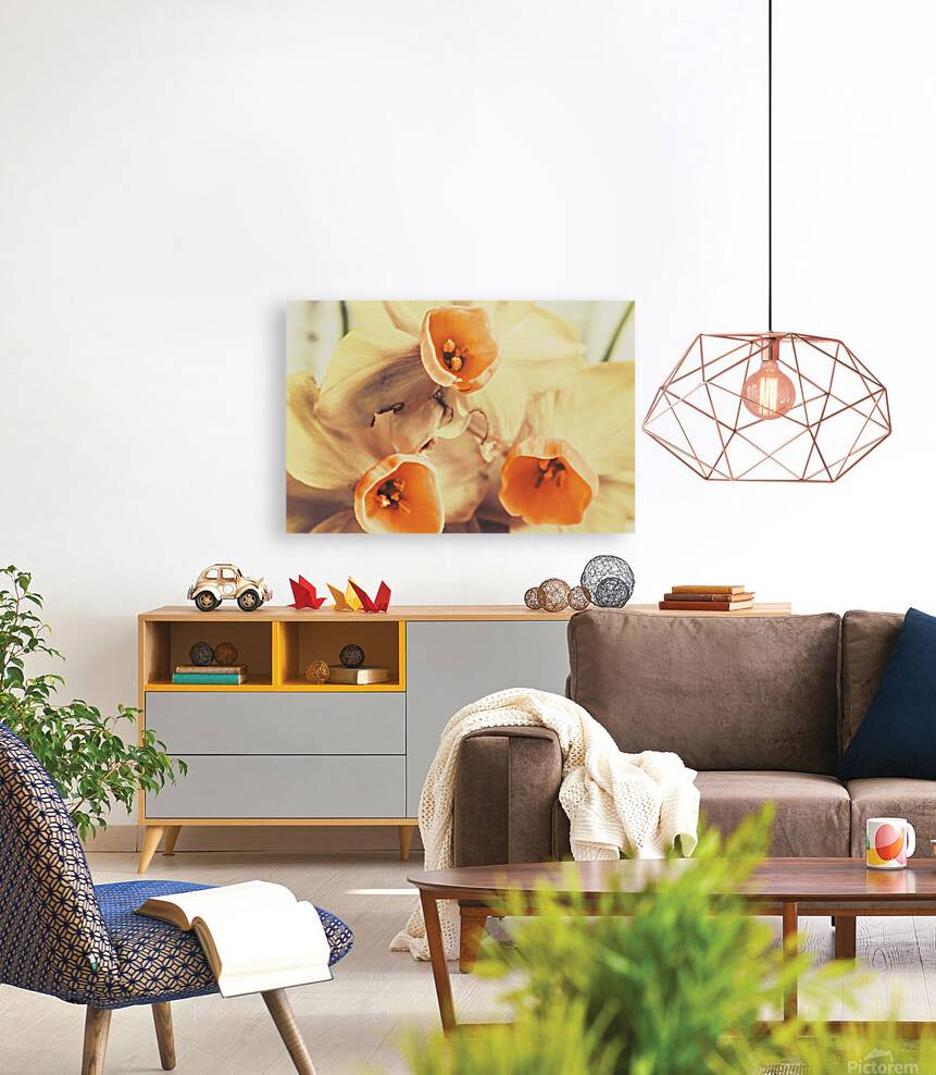 Toned vintage spring daffodils Reproduction