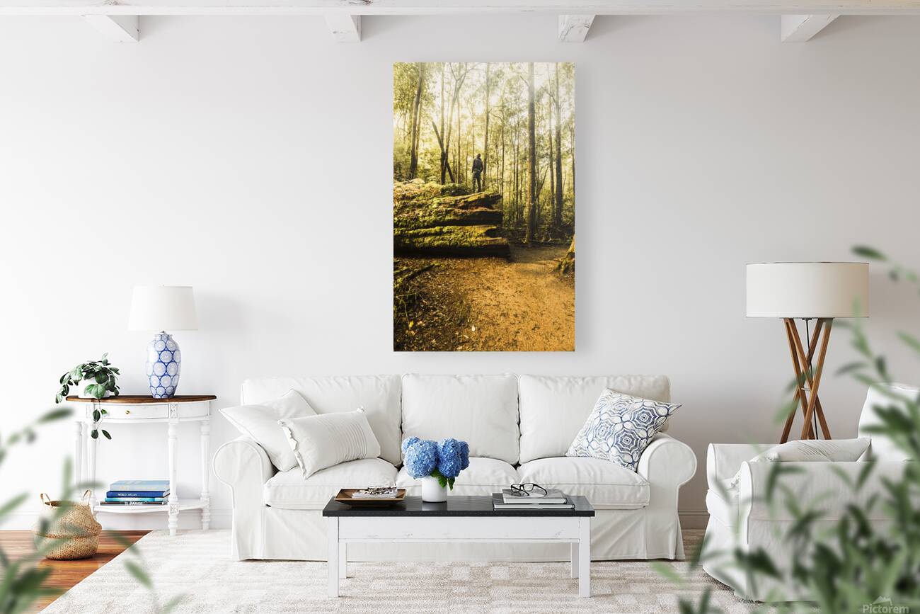 Tourist Hiking Mount Field Tasmania  Reproduction