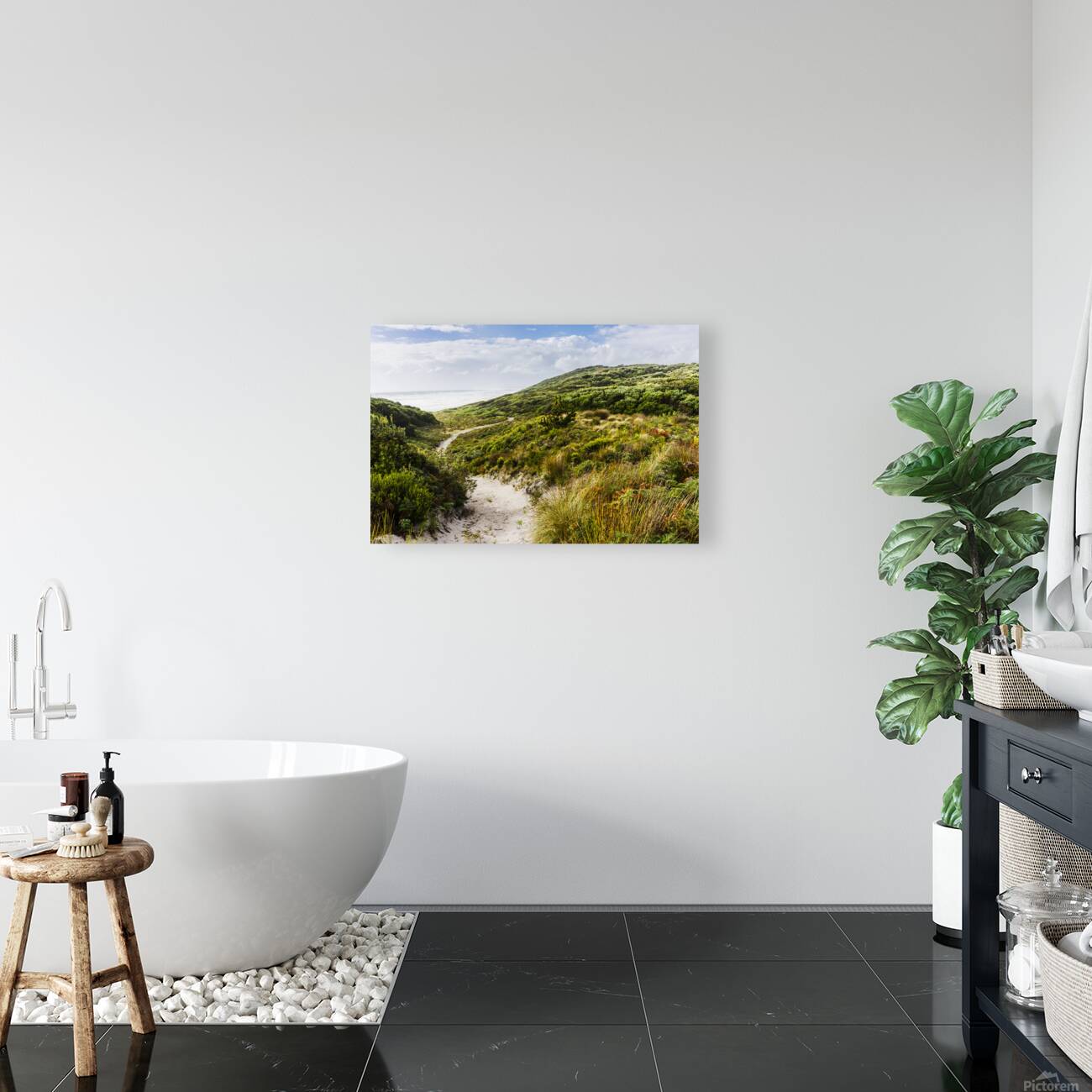 Sand dune path leading to Tasmania beach landscape Reproduction
