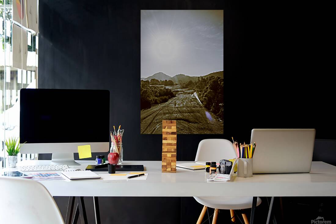 Dirt roads of outback Tasmania Reproduction