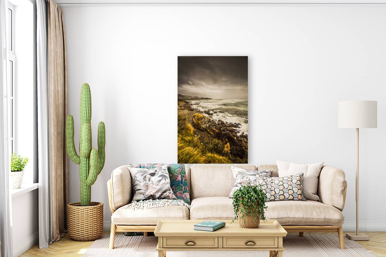 Storm season Reproduction