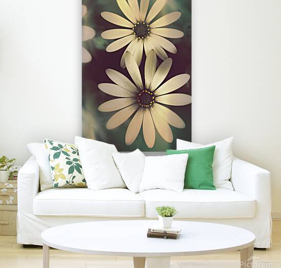 Two daisies growing in a spring garden field Reproduction