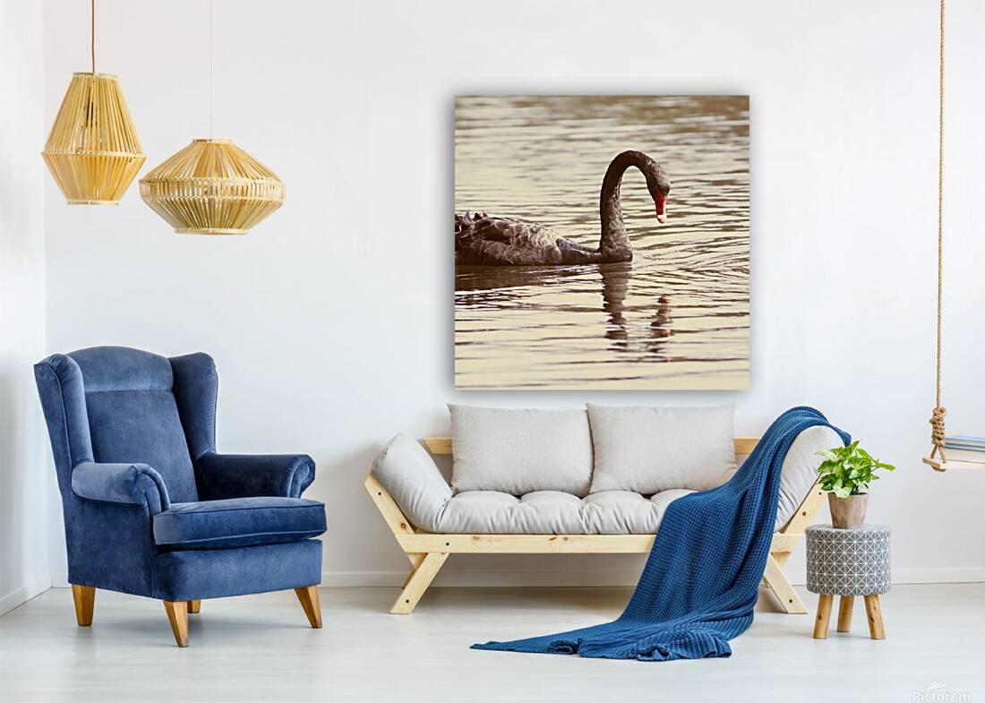 Reflective beauty Reproduction