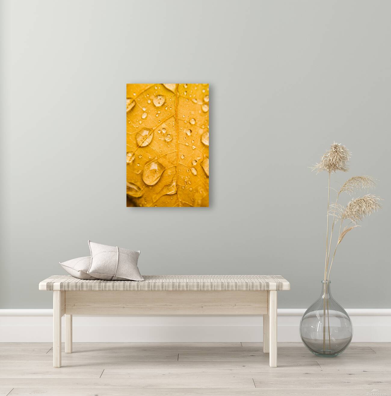 Leafy tropics Reproduction