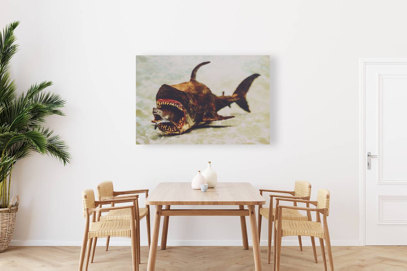 Shark eat Shark Reproduction