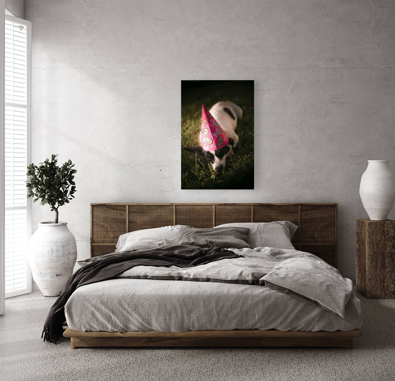 Partied out party animal Reproduction