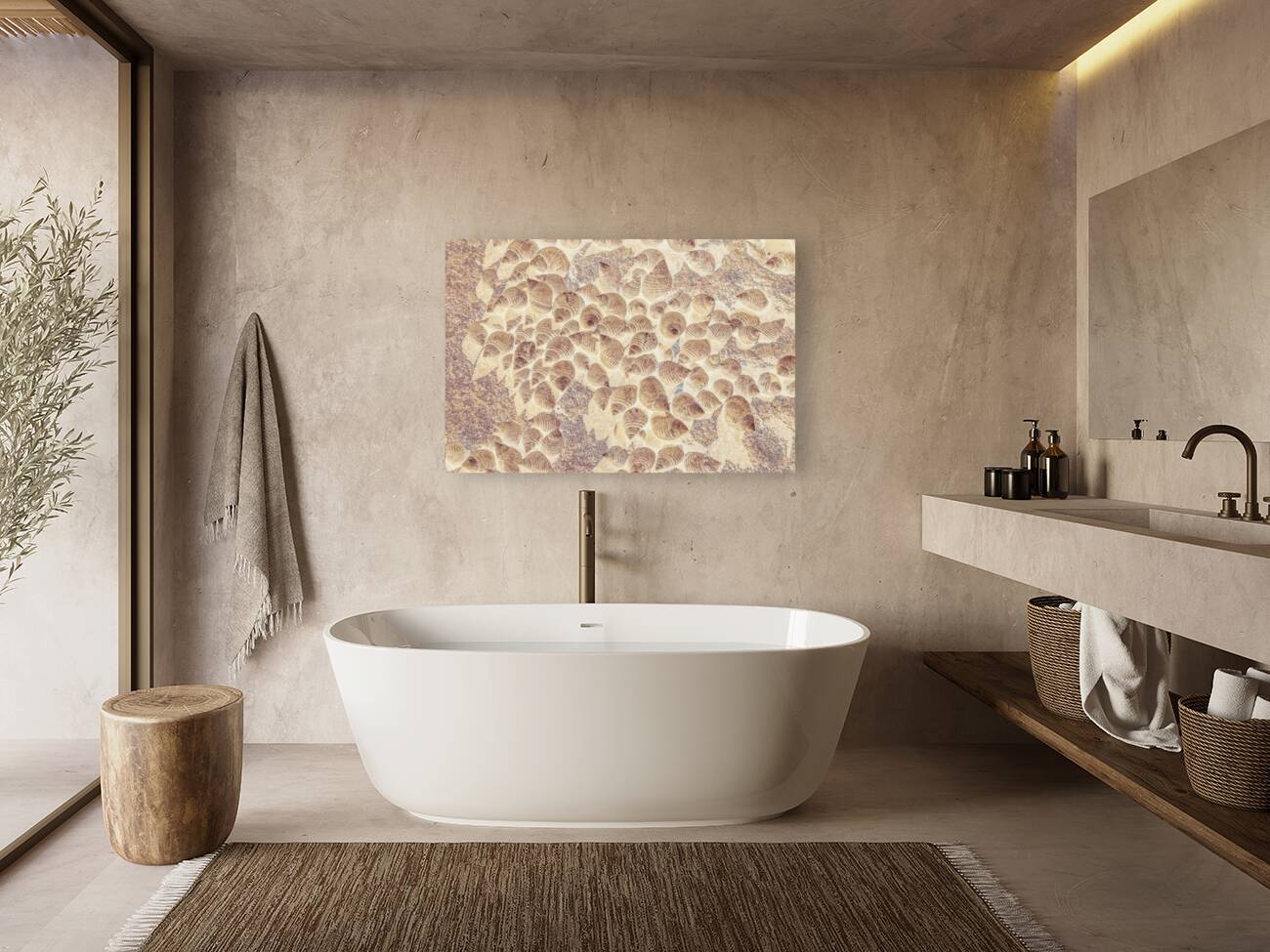 Spiral seaside Reproduction