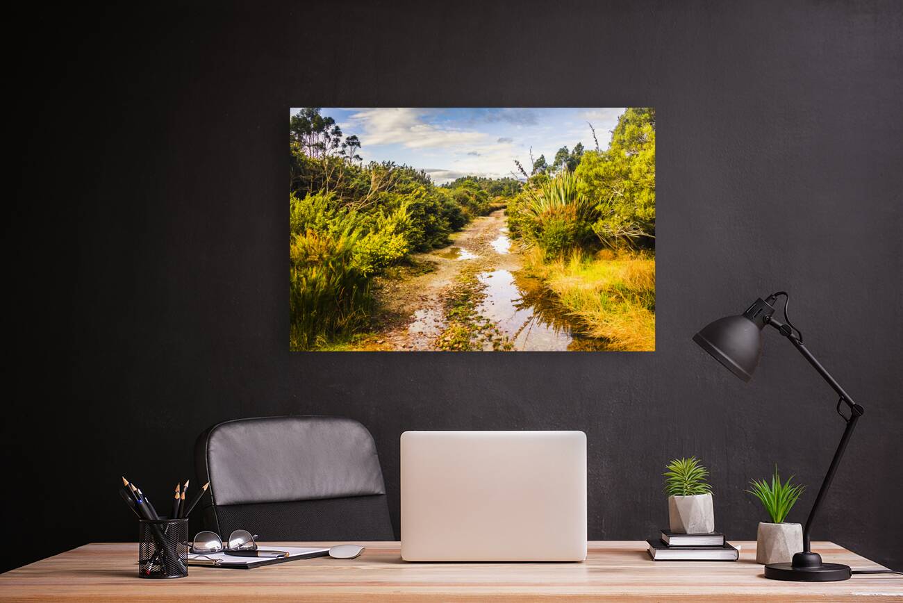 Puddles and outback tracks Reproduction