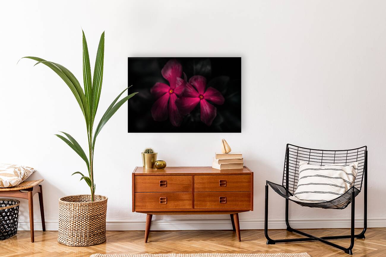 Pink periwinkle pair Reproduction