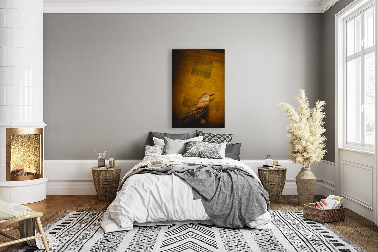 The messenger bird Reproduction